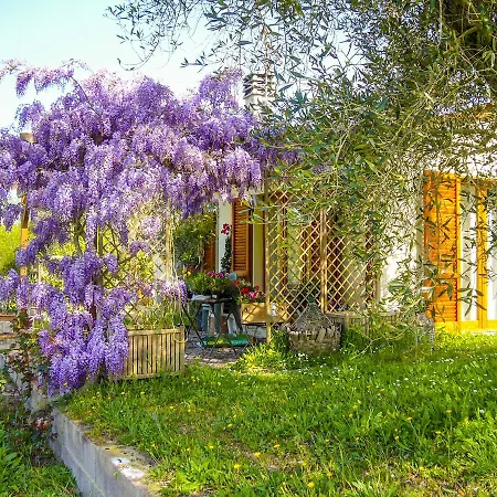 Appartement Casa Violet - Goelba *